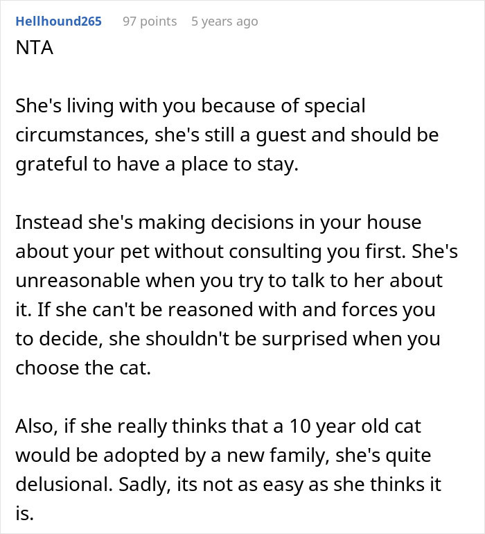 Pregnant Daughter Decides To Put Dad’s Cat In A Shelter Because Of Her Baby’s Safety, Gets Kicked Out Pregnant Daughter Decides To Put Dad’s Cat In A Shelter Because Of Her Baby’s Safety, Gets Kicked Out