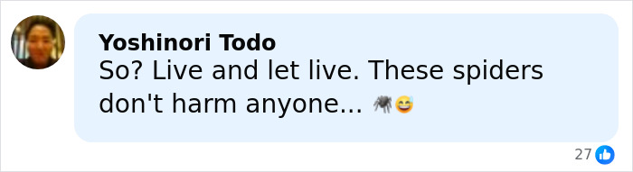 World’s Largest Spider Web Found In Albania, And Arachnophobes Are Calling It “Nightmare Fuel” World’s Largest Spider Web Found In Albania, And Arachnophobes Are Calling It “Nightmare Fuel”