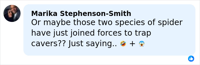 World’s Largest Spider Web Found In Albania, And Arachnophobes Are Calling It “Nightmare Fuel” World’s Largest Spider Web Found In Albania, And Arachnophobes Are Calling It “Nightmare Fuel”