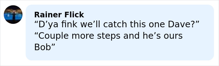 World’s Largest Spider Web Found In Albania, And Arachnophobes Are Calling It “Nightmare Fuel” World’s Largest Spider Web Found In Albania, And Arachnophobes Are Calling It “Nightmare Fuel”