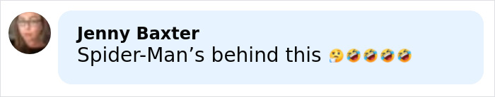 World’s Largest Spider Web Found In Albania, And Arachnophobes Are Calling It “Nightmare Fuel” World’s Largest Spider Web Found In Albania, And Arachnophobes Are Calling It “Nightmare Fuel”