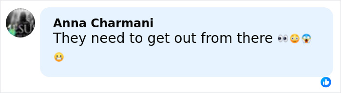 World’s Largest Spider Web Found In Albania, And Arachnophobes Are Calling It “Nightmare Fuel” World’s Largest Spider Web Found In Albania, And Arachnophobes Are Calling It “Nightmare Fuel”