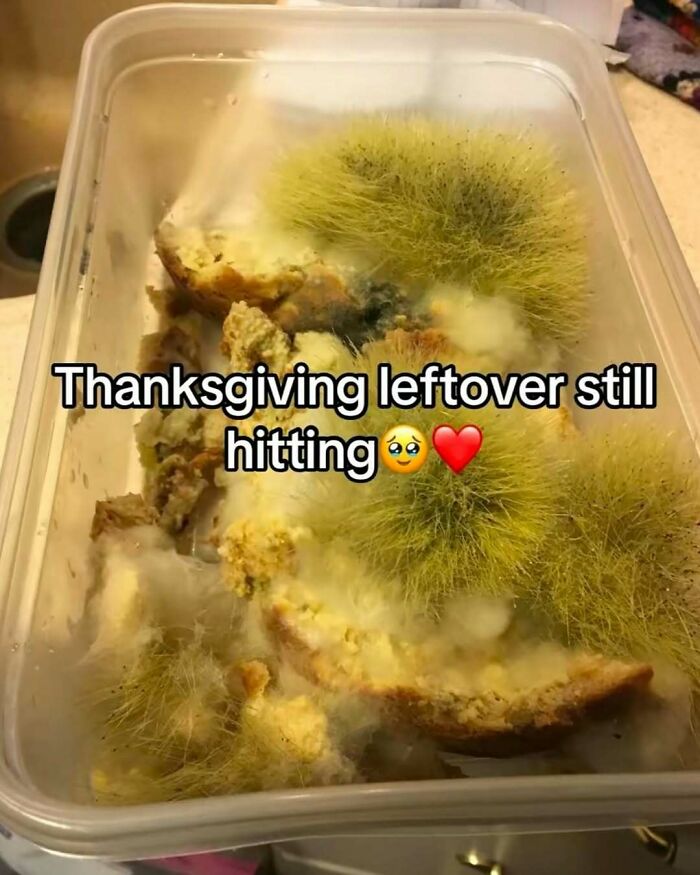 73 Weird, Unhinged And Bizarre Images That Are Not For The Easily Offended (New Pics) 73 Weird, Unhinged And Bizarre Images That Are Not For The Easily Offended (New Pics)