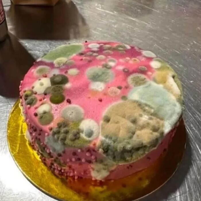 73 Weird, Unhinged And Bizarre Images That Are Not For The Easily Offended (New Pics) 73 Weird, Unhinged And Bizarre Images That Are Not For The Easily Offended (New Pics)