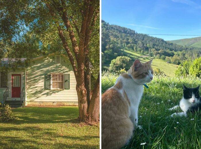 58 Cozy Countryside Homes That Look Like They Belong In A Storybook