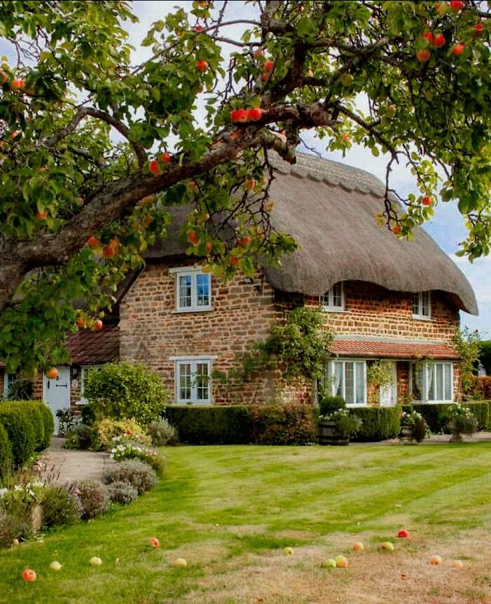 58 Cozy Countryside Homes That Look Like They Belong In A Storybook