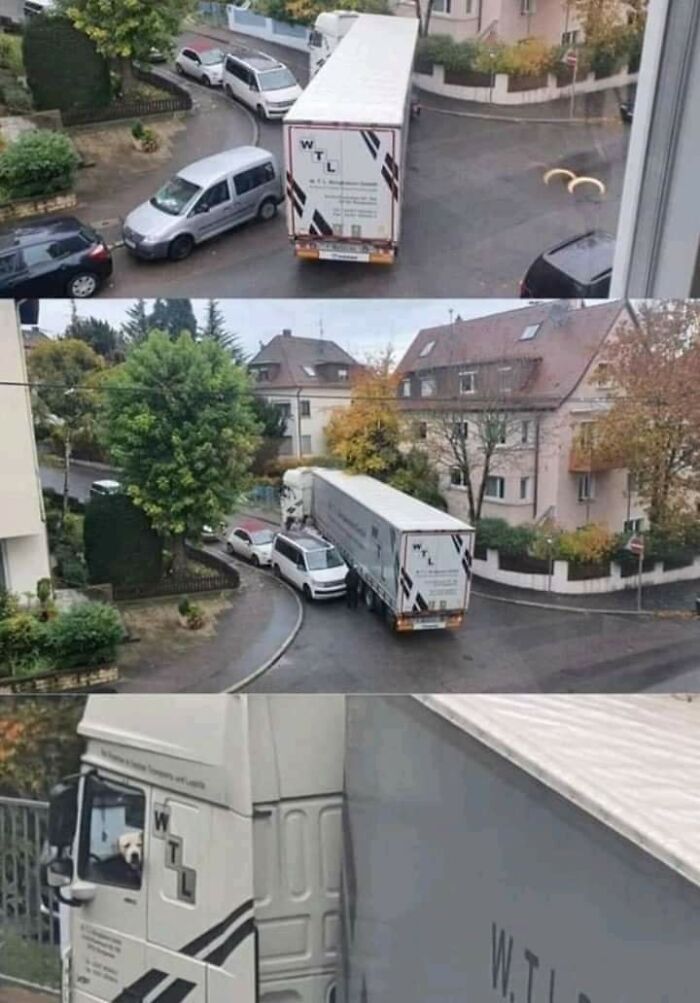 42 Pictures Of Animals Who Woke Up And Chose Nonsense 42 Pictures Of Animals Who Woke Up And Chose Nonsense