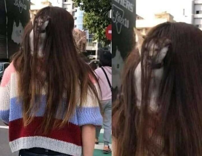 42 Pictures Of Animals Who Woke Up And Chose Nonsense 42 Pictures Of Animals Who Woke Up And Chose Nonsense