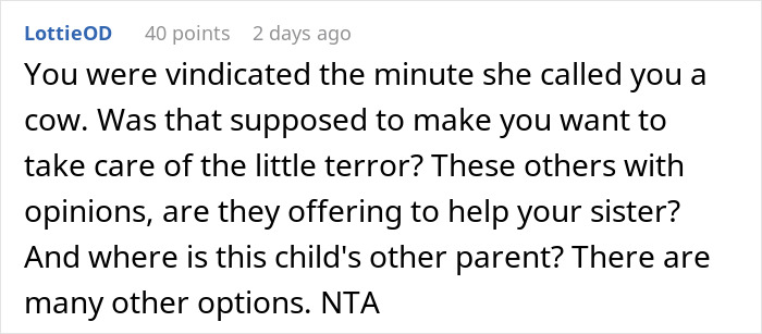 Woman Sparks Family Drama By Refusing To Care For Nasty 6YO Nephew While Sister Is In Hospital