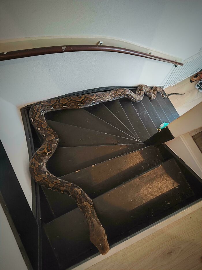 “Airbnb Insanity”: 130 Stairs You Simply Can’t Take Without Insurance