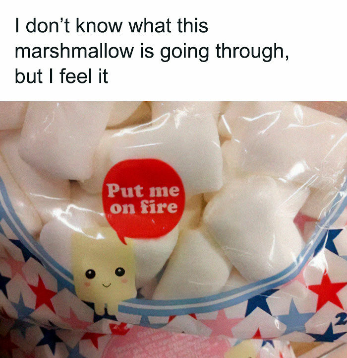 &#8220;Stupid Food Memes For Stupid People&#8221;: 97 Unhinged Memes To Ruin Your Appetite