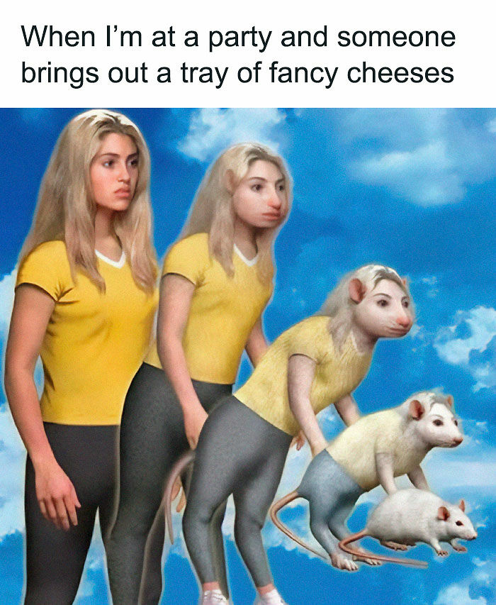 &#8220;Stupid Food Memes For Stupid People&#8221;: 97 Unhinged Memes To Ruin Your Appetite