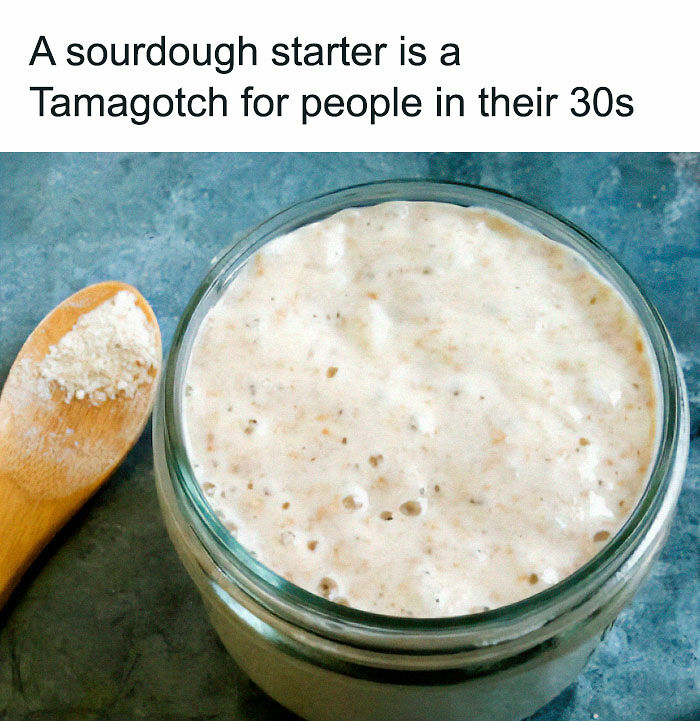 &#8220;Stupid Food Memes For Stupid People&#8221;: 97 Unhinged Memes To Ruin Your Appetite