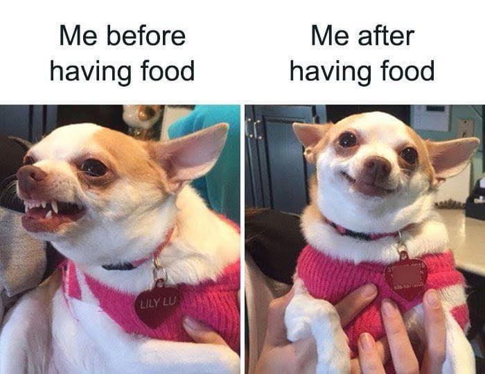 &#8220;Stupid Food Memes For Stupid People&#8221;: 97 Unhinged Memes To Ruin Your Appetite