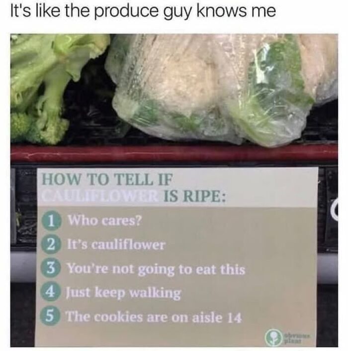 &#8220;Stupid Food Memes For Stupid People&#8221;: 97 Unhinged Memes To Ruin Your Appetite