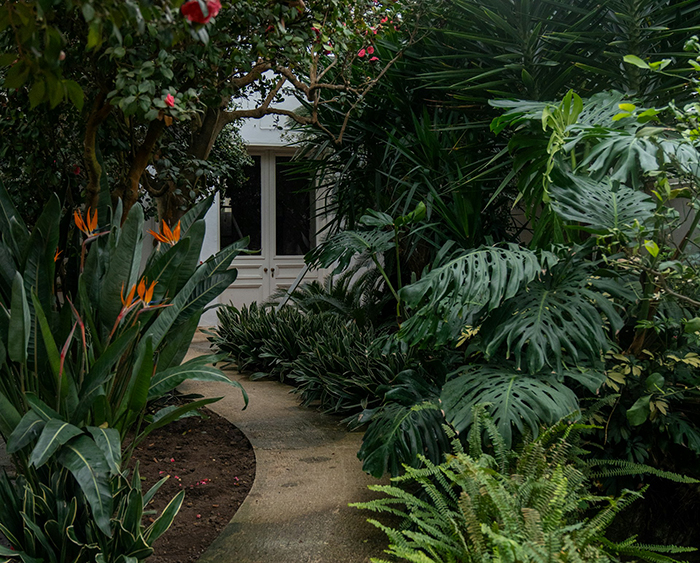 Woman’s Unexpectedly Savage Revenge On Petty Neighbor Sends Them Into Panic