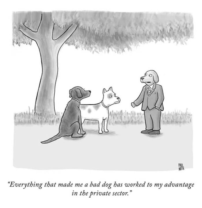 43 Funny One-Panel Comics By The New Yorker Cartoonist Paul Noth (New Pics)