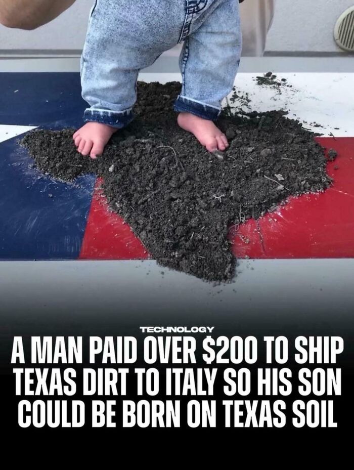 “Were You Homeschooled By A Pigeon?”: 80 Times Americans Confidently Posted The Dumbest Things (New Pics)