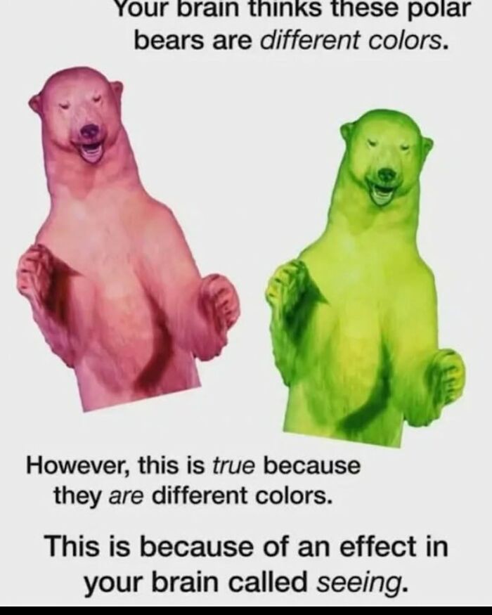 This IG Page Is Dedicated To Education Memes And These 50 Are Hilarious (New Posts)