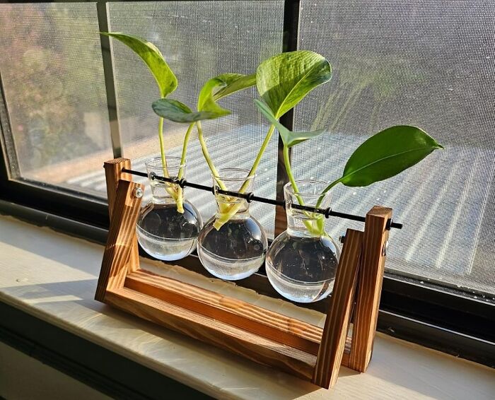 20 Novelty Items That Will Make You Say “Why Does This Exist?” And Then Immediately Add To Cart 20 Novelty Items That Will Make You Say “Why Does This Exist?” And Then Immediately Add To Cart