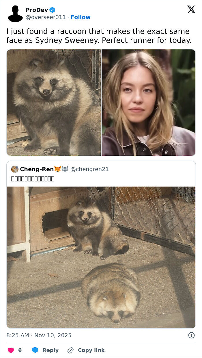 &#8220;Wheels On A Shopping Cart Be Like&#8221;: Sydney Sweeney Sparked A Flood Of Jokes Online No One Can Stop