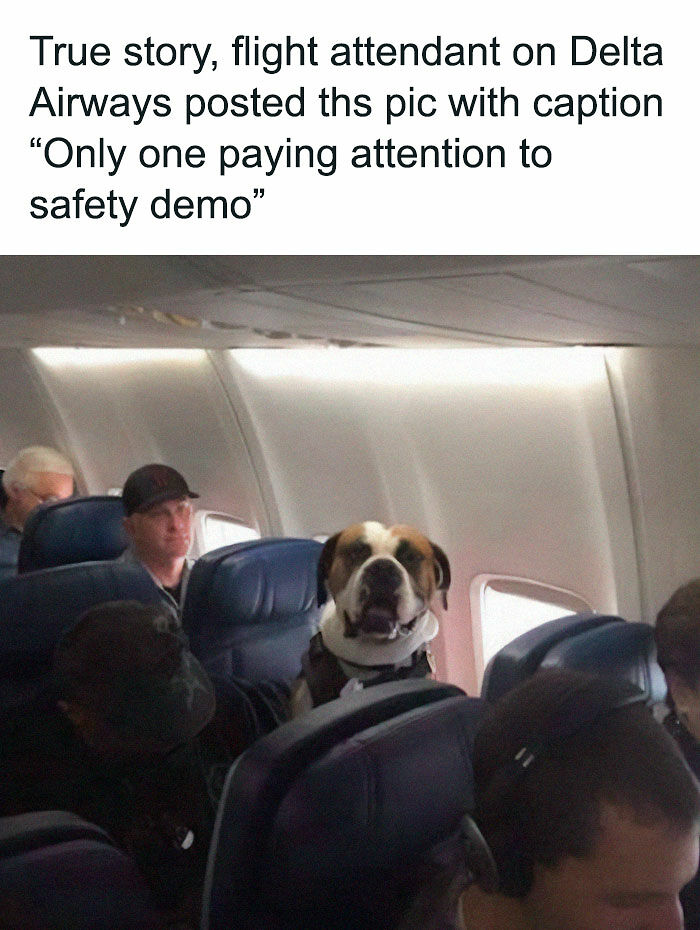 This IG Account Specializes In Aviation Humor And These 40 Memes Are Hilarious This IG Account Specializes In Aviation Humor And These 40 Memes Are Hilarious