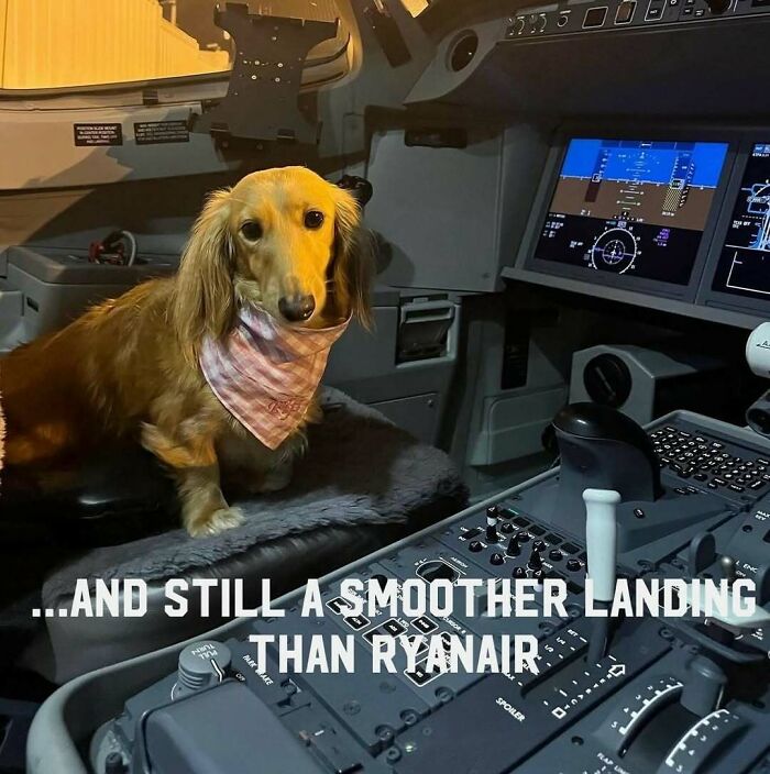 This IG Account Specializes In Aviation Humor And These 40 Memes Are Hilarious This IG Account Specializes In Aviation Humor And These 40 Memes Are Hilarious