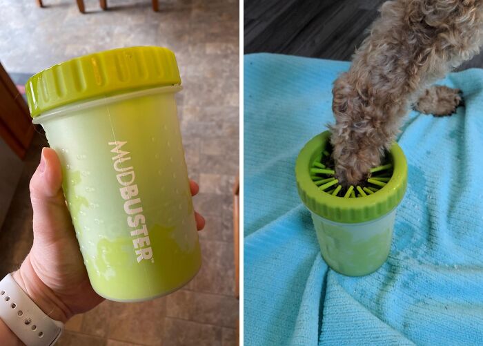 We Found 24 Of The Most Delightfully Unnecessary Things You&#8217;ll Immediately Want