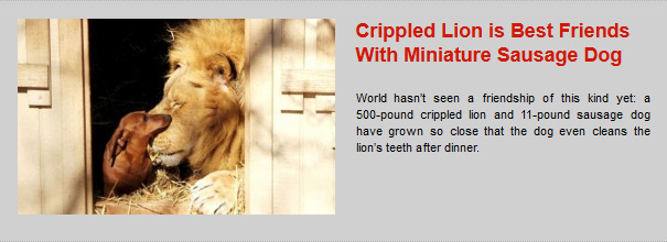 This Week’s Top 5 User Submitted Stories #33