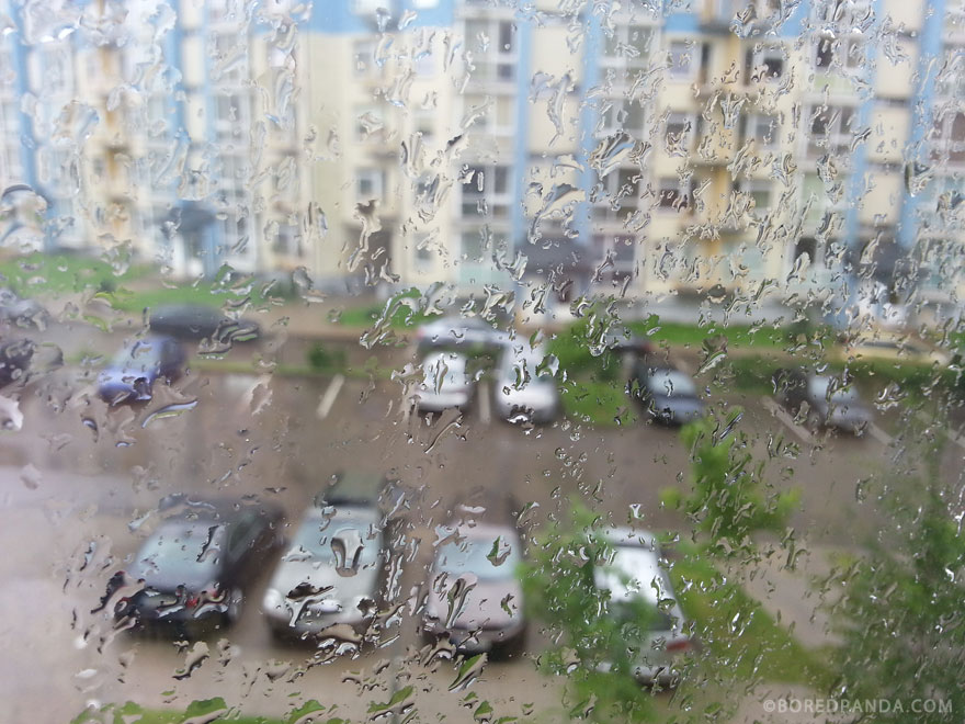 I Found A Blind Baby Sparrow Below My Balcony After A Storm I Found A Blind Baby Sparrow Below My Balcony After A Storm