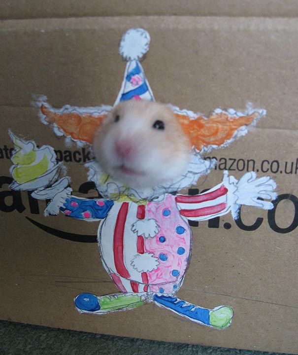 Girl Dresses Hamster Up In Cute Cardboard Costumes (4 pics) Girl Dresses Hamster Up In Cute Cardboard Costumes (4 pics)