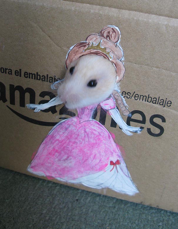 Girl Dresses Hamster Up In Cute Cardboard Costumes (4 pics) Girl Dresses Hamster Up In Cute Cardboard Costumes (4 pics)