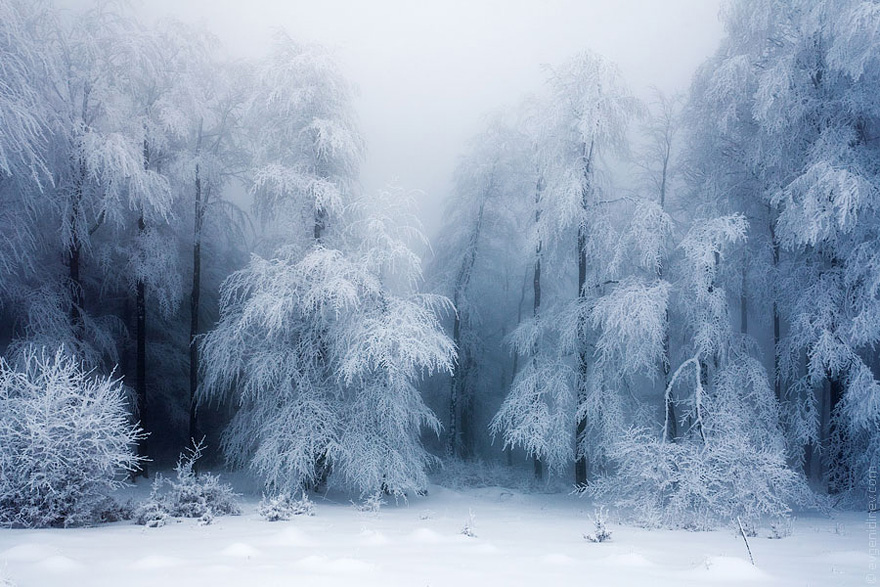 20 Breathtaking Photos Of Winter Landscapes