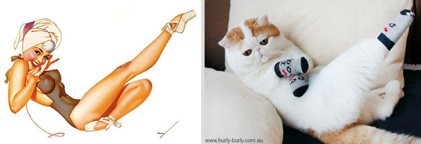 Cats That Pose Like Pin Up Girls (18 pics)