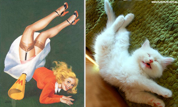 Cats That Pose Like Pin Up Girls (18 pics)