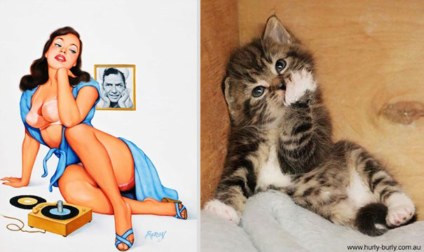 Cats That Pose Like Pin Up Girls (18 pics)