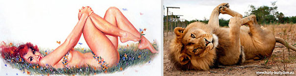 Cats That Pose Like Pin Up Girls (18 pics)