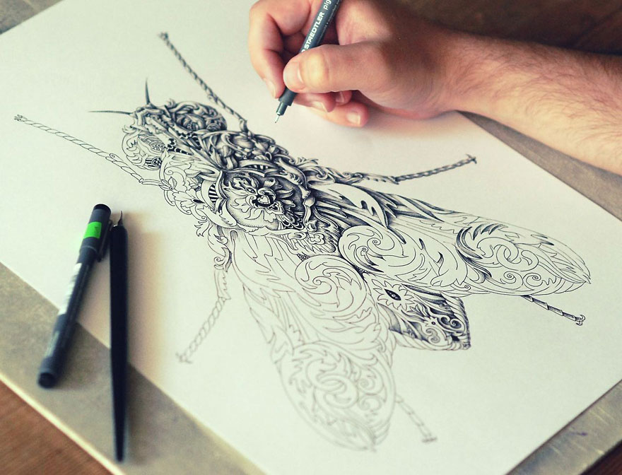 Incredibly Intricate Renaissance-Style Insect Drawings by Alex Konahin Incredibly Intricate Renaissance-Style Insect Drawings by Alex Konahin