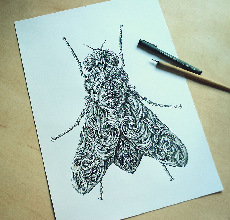 Incredibly Intricate Renaissance-Style Insect Drawings by Alex Konahin