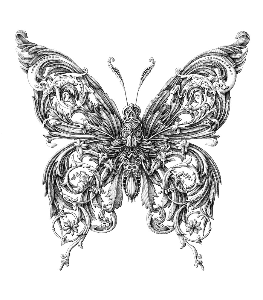 Incredibly Intricate Renaissance-Style Insect Drawings by Alex Konahin Incredibly Intricate Renaissance-Style Insect Drawings by Alex Konahin