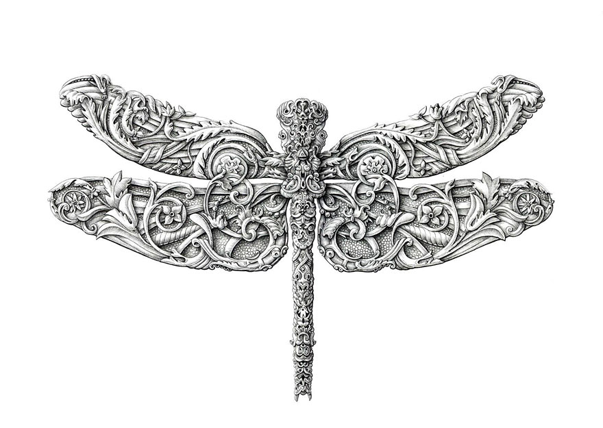 Incredibly Intricate Renaissance-Style Insect Drawings by Alex Konahin