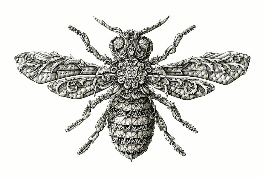 Incredibly Intricate Renaissance-Style Insect Drawings by Alex Konahin Incredibly Intricate Renaissance-Style Insect Drawings by Alex Konahin