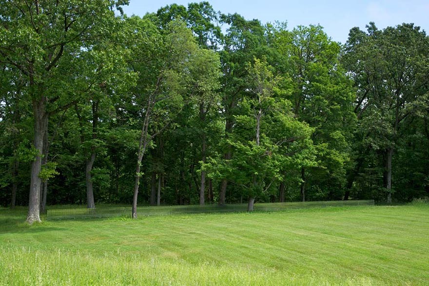 These Mirrored Fences Camouflage Themselves According To The Seasons