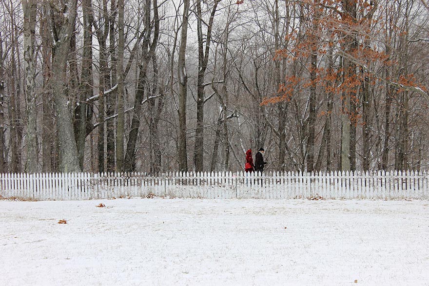 These Mirrored Fences Camouflage Themselves According To The Seasons