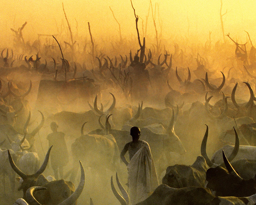 Powerful Photographs Show The Daily Life of The Dinka People Of Southern Sudan Powerful Photographs Show The Daily Life of The Dinka People Of Southern Sudan