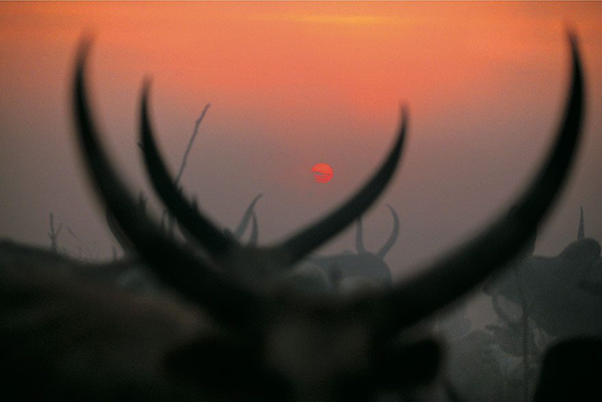 Powerful Photographs Show The Daily Life of The Dinka People Of Southern Sudan Powerful Photographs Show The Daily Life of The Dinka People Of Southern Sudan