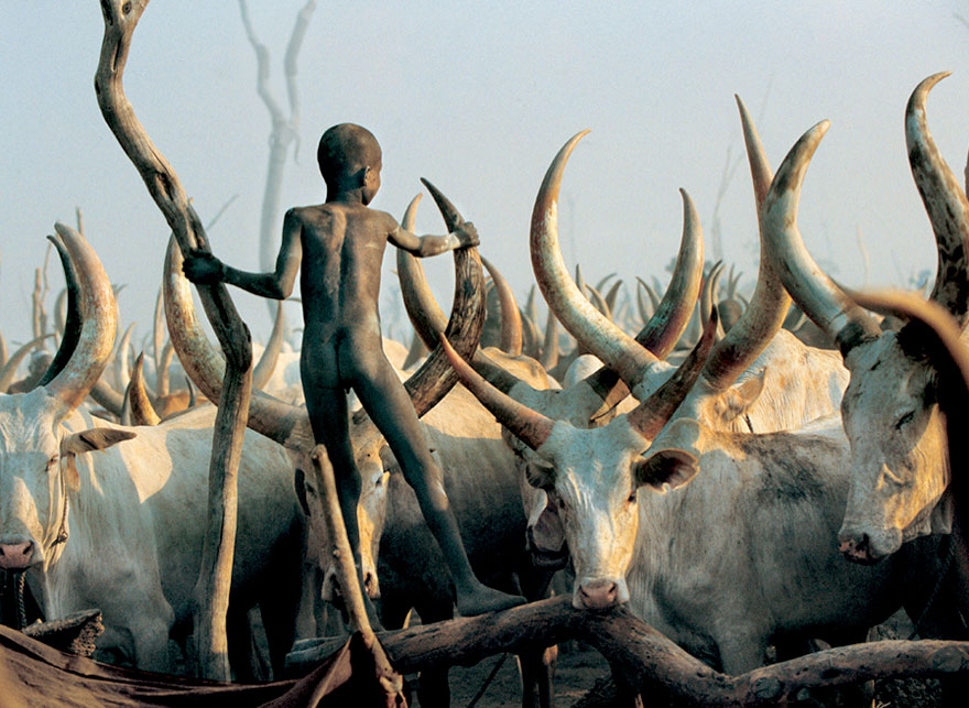 Powerful Photographs Show The Daily Life of The Dinka People Of Southern Sudan Powerful Photographs Show The Daily Life of The Dinka People Of Southern Sudan