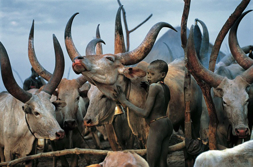 Powerful Photographs Show The Daily Life of The Dinka People Of Southern Sudan Powerful Photographs Show The Daily Life of The Dinka People Of Southern Sudan
