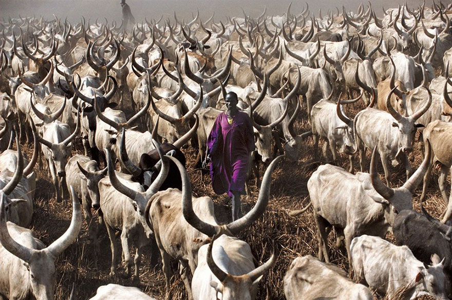 Powerful Photographs Show The Daily Life of The Dinka People Of Southern Sudan Powerful Photographs Show The Daily Life of The Dinka People Of Southern Sudan