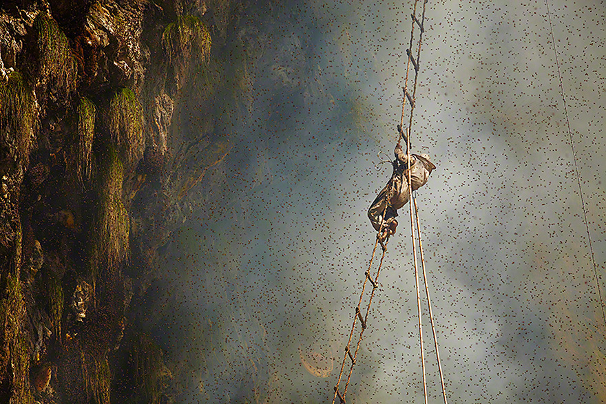 Stunning Images Of The Ancient Traditional Honey Hunters Of Nepal Stunning Images Of The Ancient Traditional Honey Hunters Of Nepal